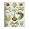 Stupell Industries Vintage Haeckel Sea Life Canvas Wall Art Design by Graffi*tee Studios